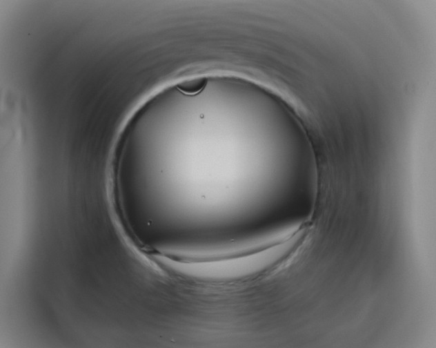 X0000113531518200910021319