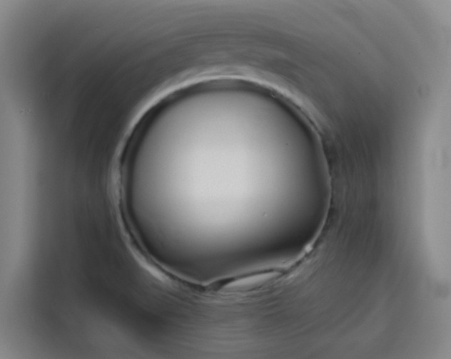 X0000113531519200910021319