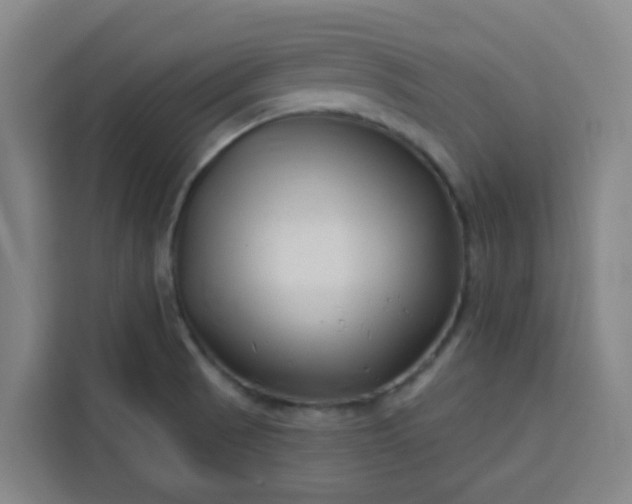 X0000113531521200910021319