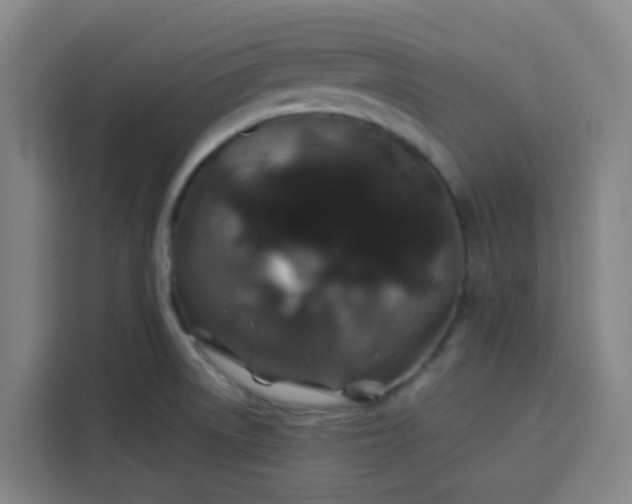 X0000113531522200910021319