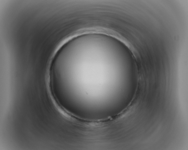 X0000113531523200910021319