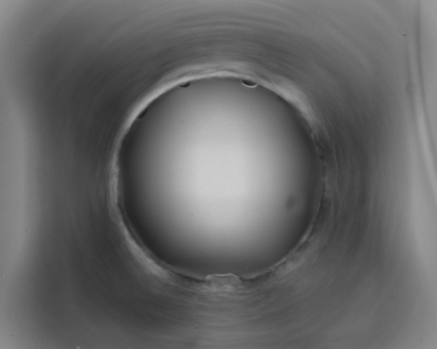 X0000113531524200910021319