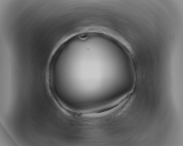 X0000113531525200910021319