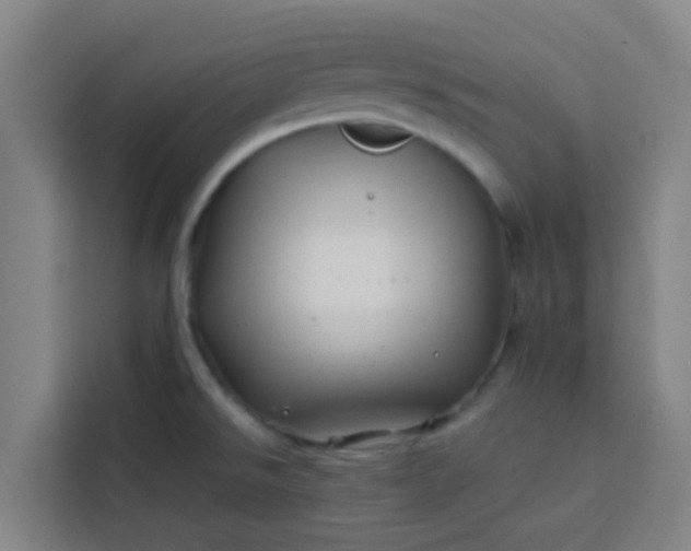 X0000113531526200910021319