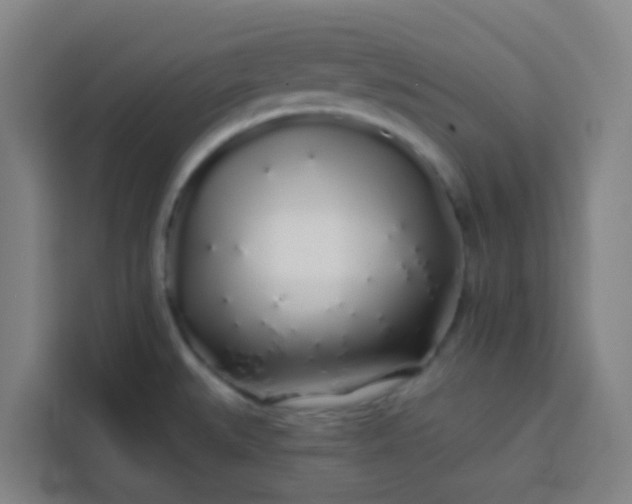 X0000113531527200910021319