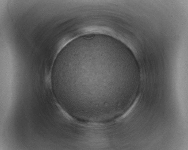 X0000113531529200910021319