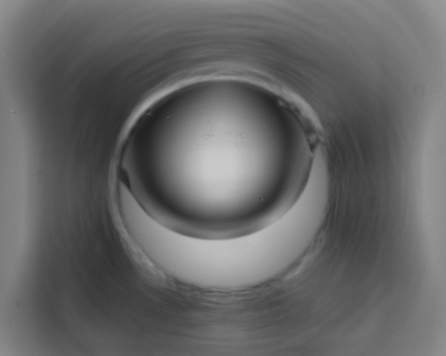 X0000113531530200910021319