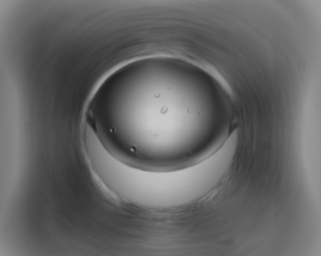 X0000113531532200910021319