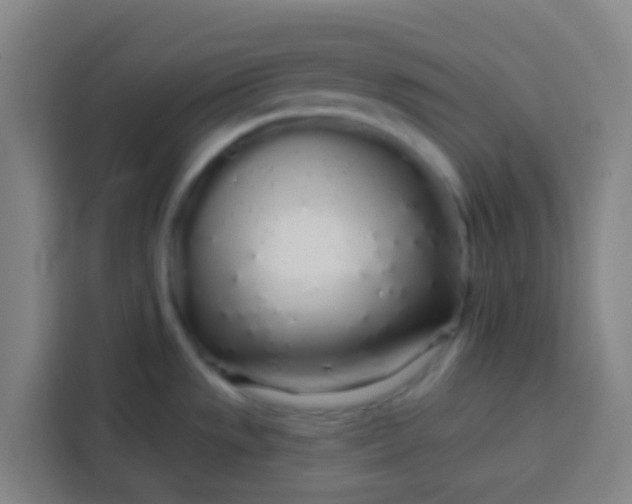 X0000113531533200910021319