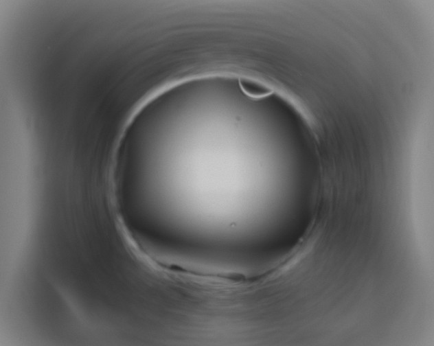 X0000113531534200910021319