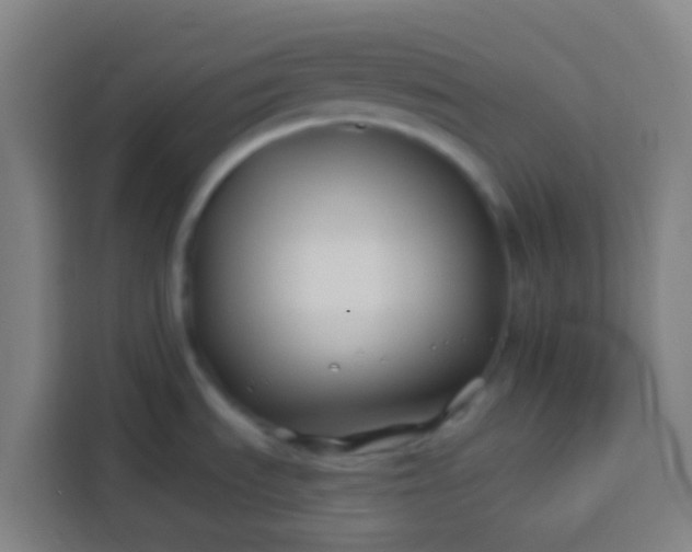 X0000113531535200910021319