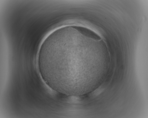 X0000113531536200910021319