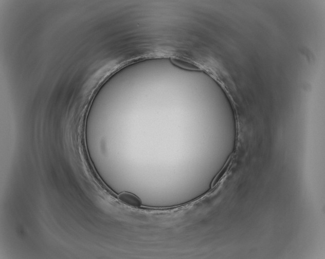 X0000113530001200910091232