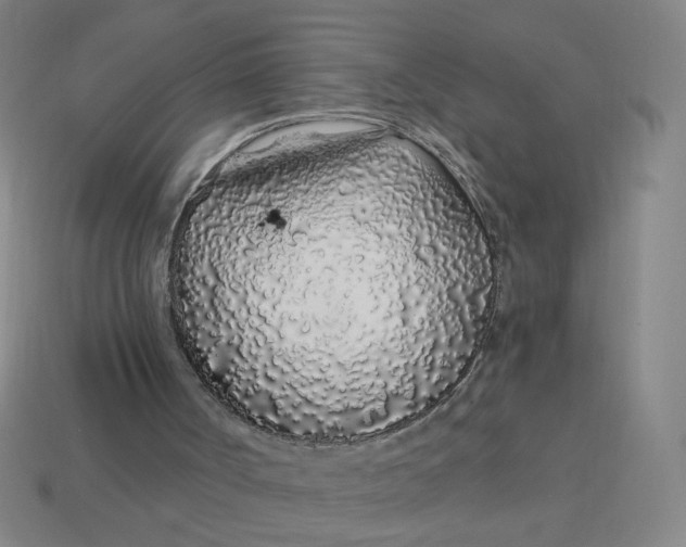 X0000113530002200910091232