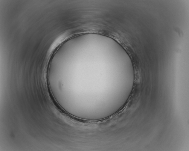 X0000113530004200910091232