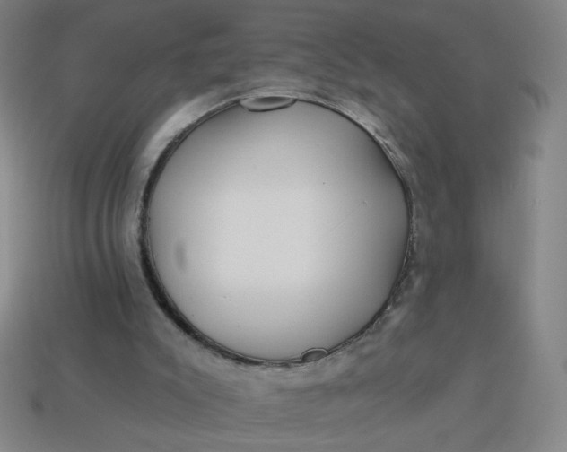 X0000113530007200910091232