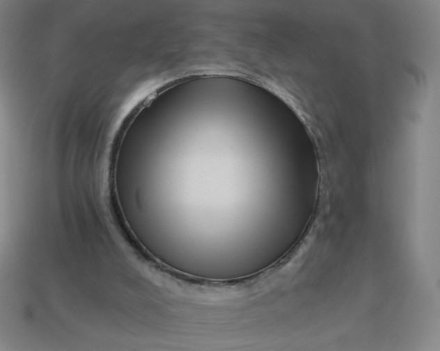 X0000113530008200910091232