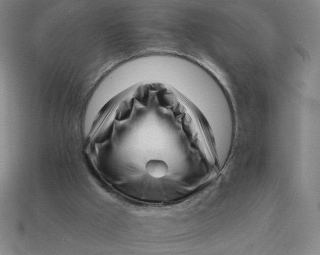 X0000113530009200910091232