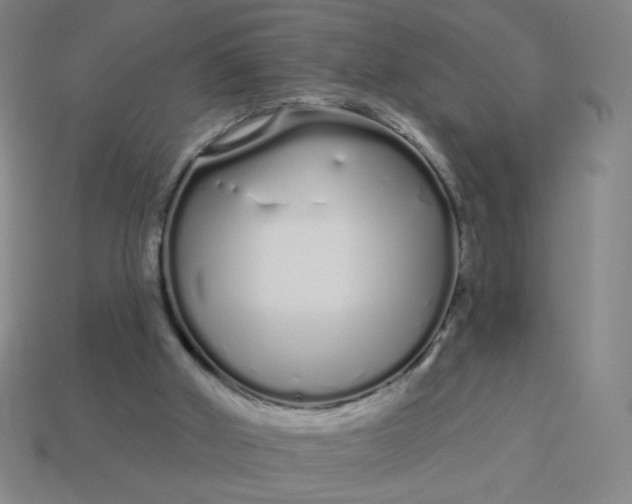 X0000113530010200910091232