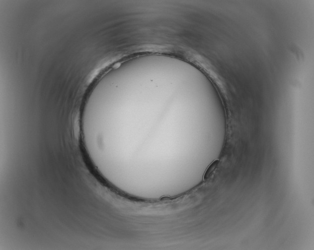 X0000113530011200910091232