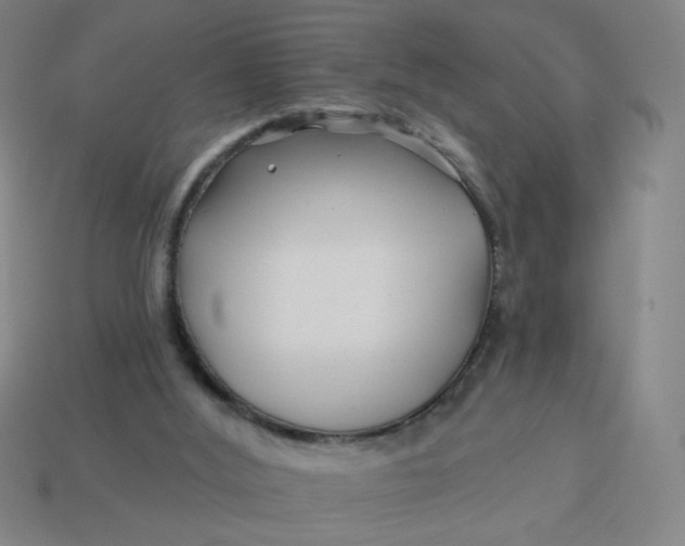 X0000113530012200910091232