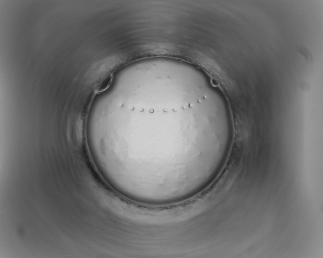 X0000113530014200910091232