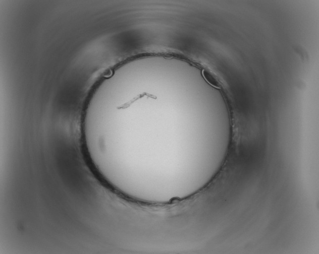 X0000113530015200910091232