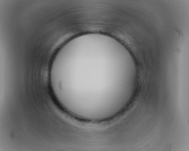 X0000113530016200910091232