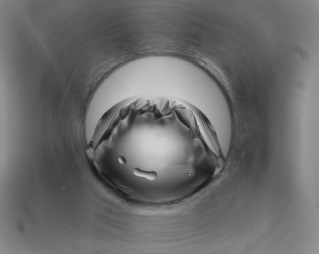 X0000113530017200910091232