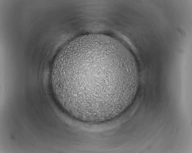 X0000113530018200910091232