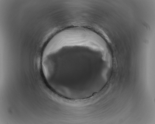 X0000113530019200910091232