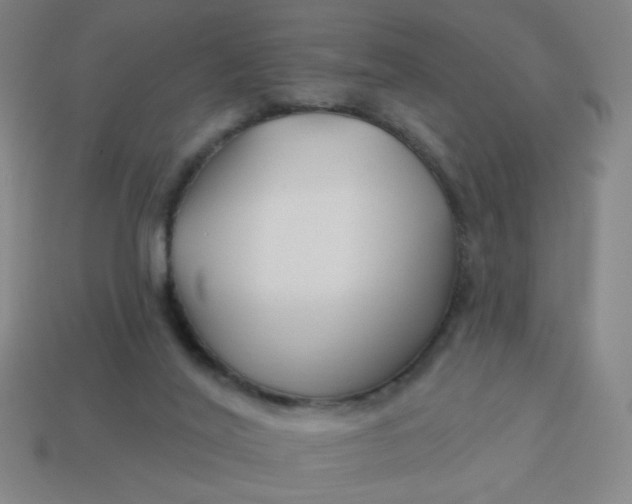 X0000113530020200910091232