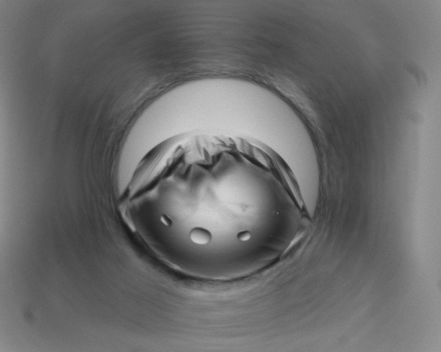 X0000113530021200910091232