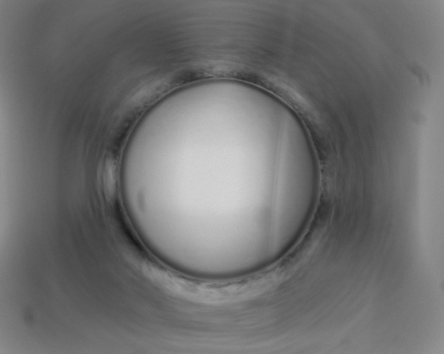 X0000113530022200910091232