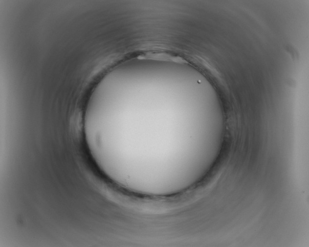 X0000113530024200910091232