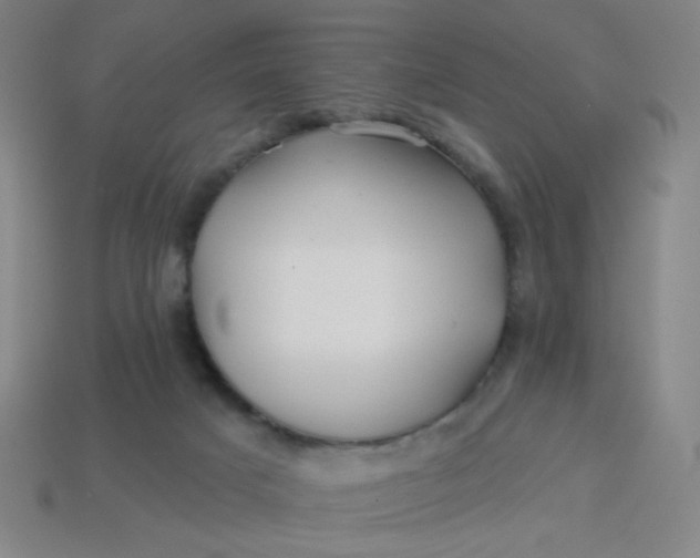 X0000113530025200910091232