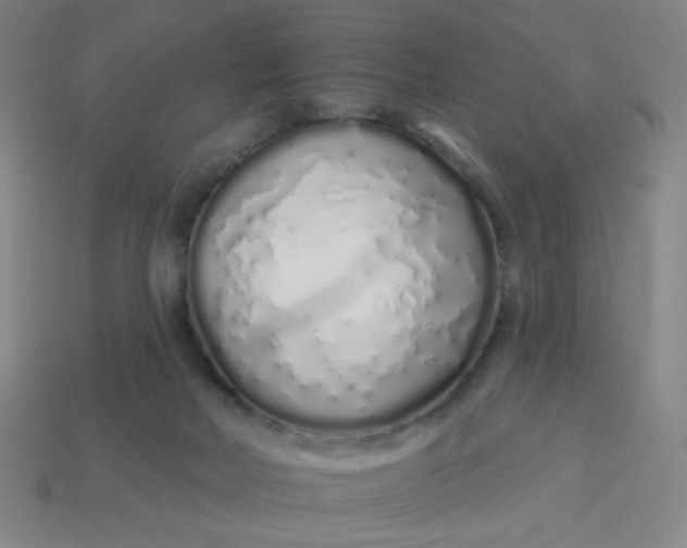 X0000113530026200910091232