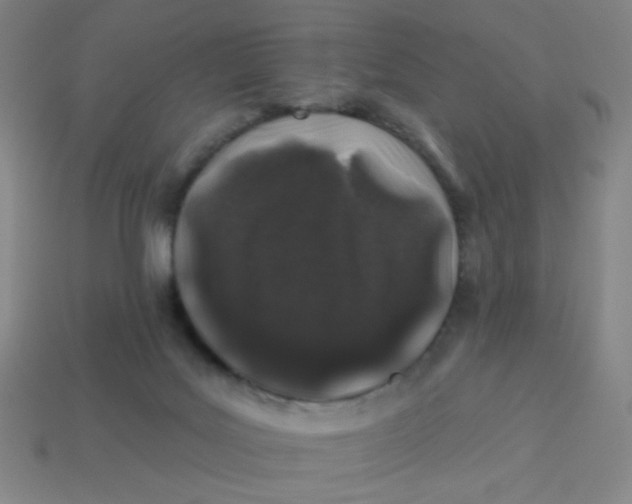 X0000113530027200910091232