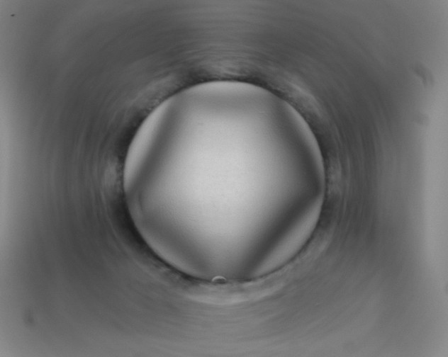 X0000113530029200910091232