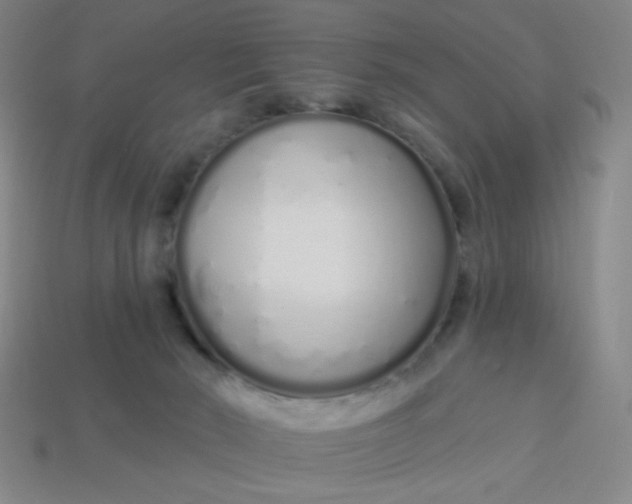 X0000113530030200910091232