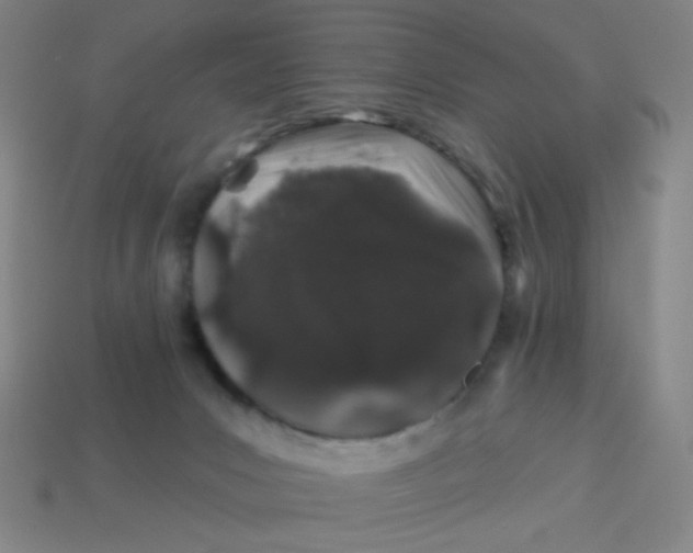 X0000113530031200910091232