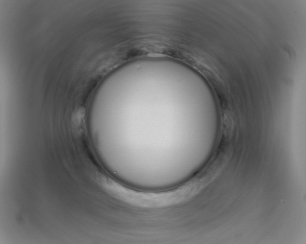 X0000113530034200910091232