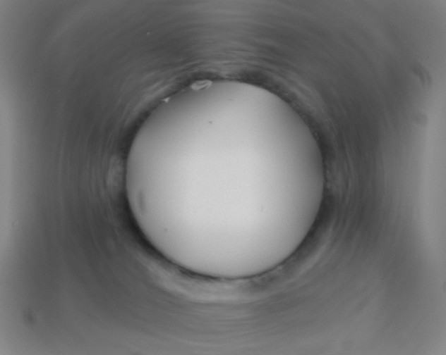 X0000113530036200910091232