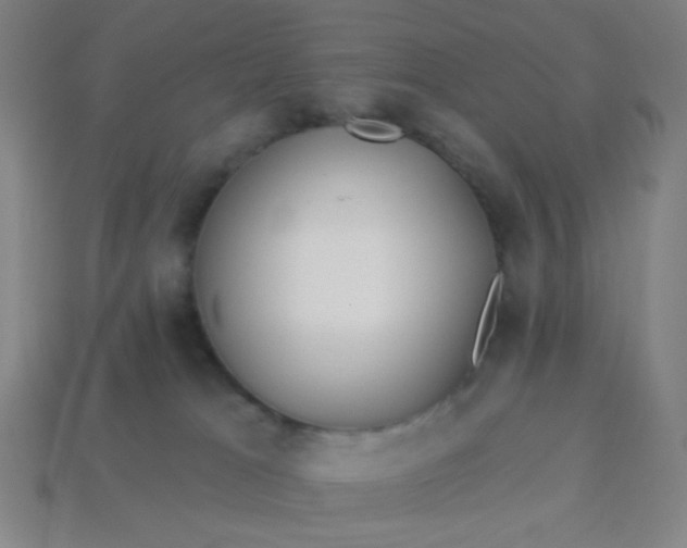 X0000113530037200910091232