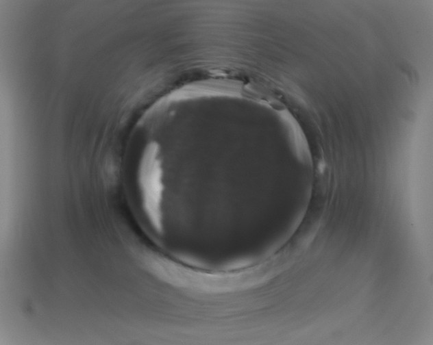 X0000113530039200910091232