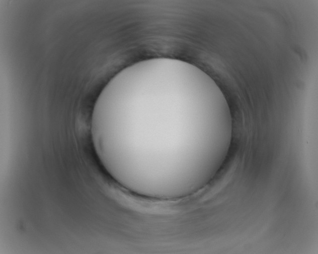 X0000113530040200910091232