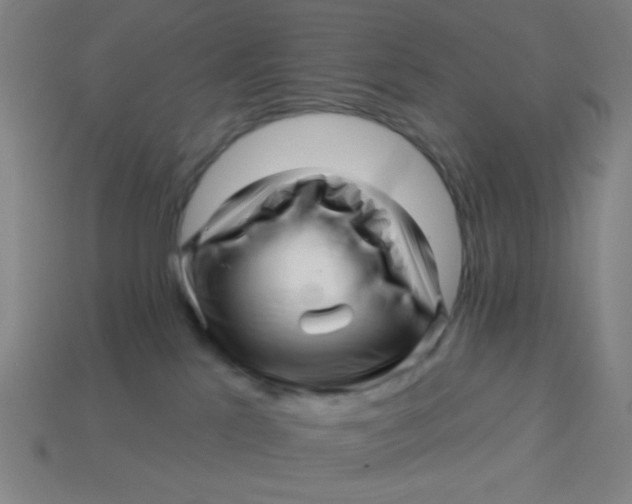 X0000113530041200910091232