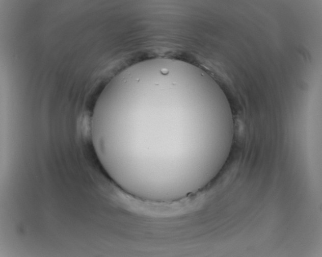 X0000113530042200910091232