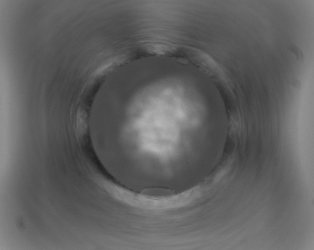 X0000113530043200910091231