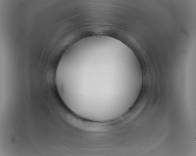 X0000113530044200910091231